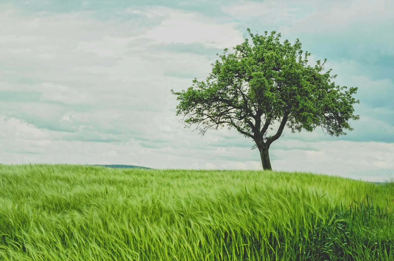 How to Transform Long Webinars into Evergreen Micro-Content (Without Losing Momentum)